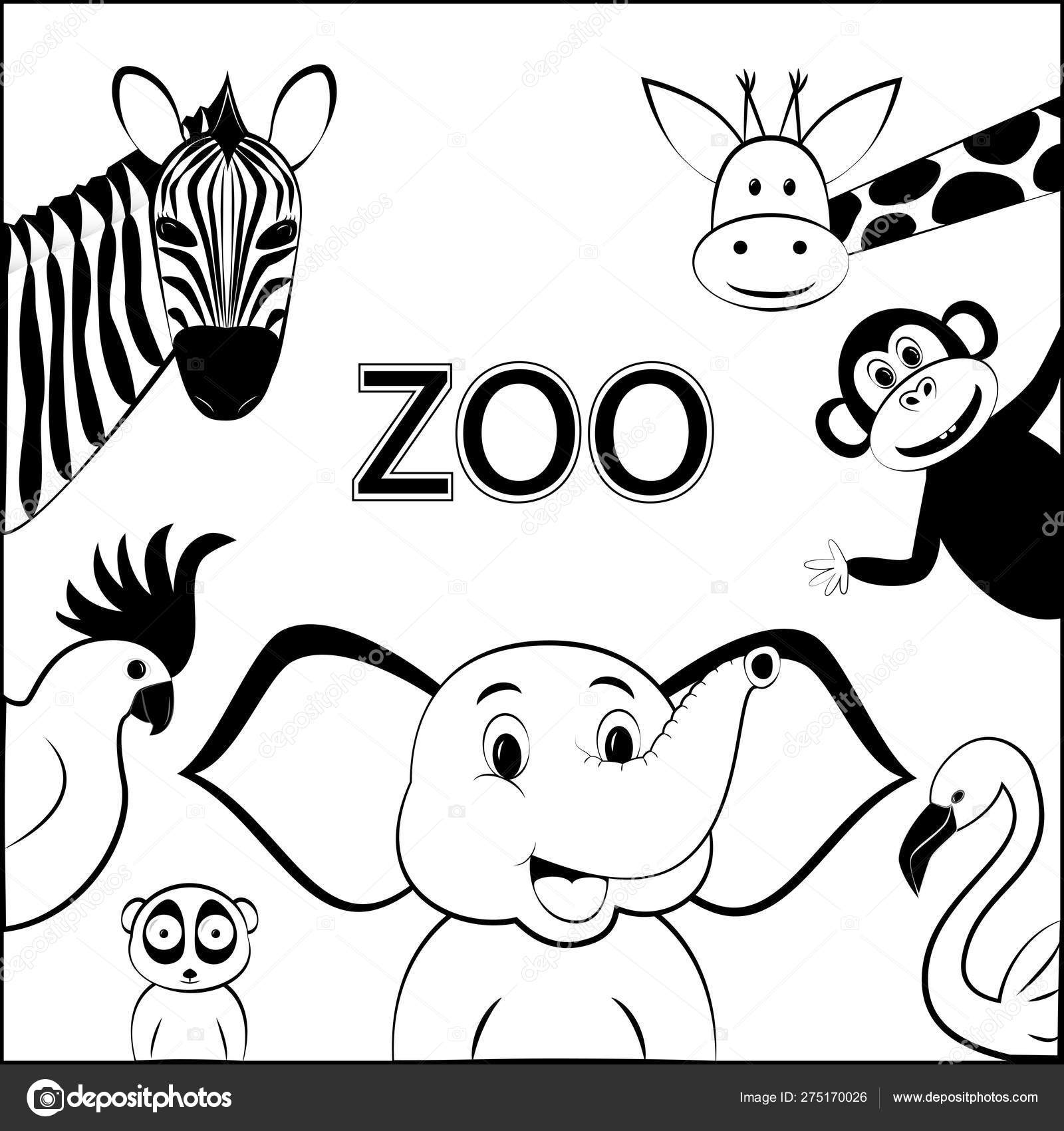 Balck White Poster Zoo Different Cartoon Wild Happy Animals Located Stock  Vector Image by © #275170026