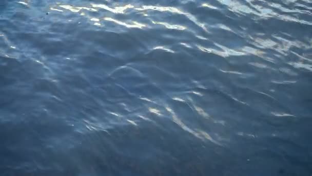 Vatten Slowmotion Floden Themsen London — Stockvideo