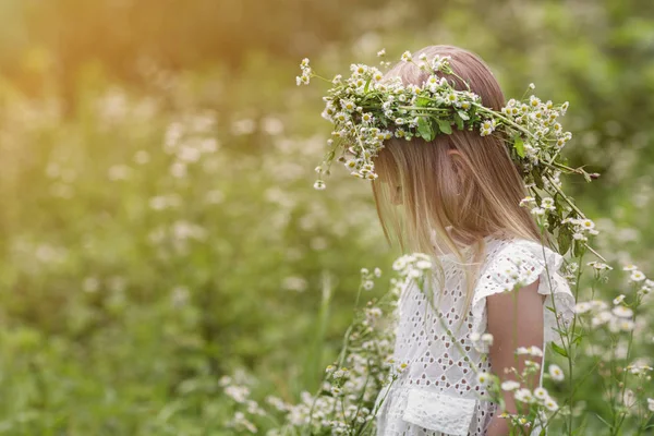 Une fille en promenade par une belle journée d'été. Portrait d'une petite fille avec une couronne de camomilles sur la tête — Photo