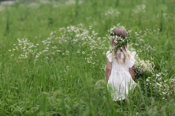 Chica en un paseo en un brillante día de verano. Retrato de una niña pequeña con una corona de manzanillas en la cabeza —  Fotos de Stock