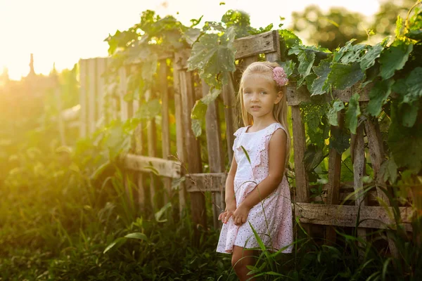 Πορτρέτο του χαριτωμένο μικρό κορίτσι κοντά σε ξύλινο φράχτη στο χωριό το ηλιοβασίλεμα. Θερινό ηλιοστάσιο — Φωτογραφία Αρχείου