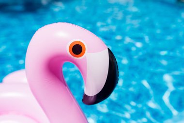 Yüzme havuzunda şişme Pembe Flamingo. Plastik oyuncaklar ile yüzme havuzunda yaz saati. Dinlenme, tatil, tatil ve eğlence konsepti