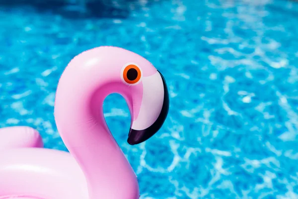 Flamingo rosa inflável na piscina. Hora de verão na piscina com brinquedos de plástico. Relaxamento, férias, férias e diversão conceito — Fotografia de Stock