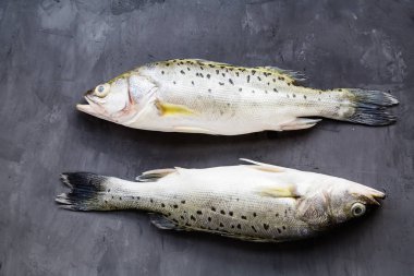 Baharatlar, limon, koyu taş arka planda tuz ile taze çiğ balık. Balık yaratıcı düzeni, kopya alanı ile üst görünüm, düz yatıyordu, mockup, tepegöz. Sağlıklı gıda konsepti