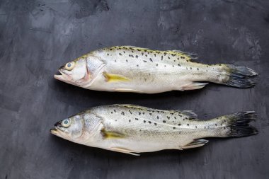 Baharatlar, limon, koyu taş arka planda tuz ile taze çiğ balık. Balık yaratıcı düzeni, kopya alanı ile üst görünüm, düz yatıyordu, mockup, tepegöz. Sağlıklı gıda konsepti