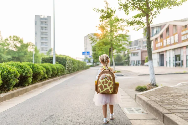 Kid meisje leerling van achteren lopen terug naar huis na het leren studeren school alleen met schooltas, Preschool en kleuterschool onderwijsconcept. Eerste dag van de herfst — Stockfoto