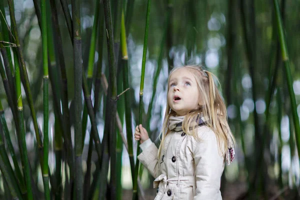 Menina bonita com cabelo loiro em pé em uma floresta de bambu e bambu tremendo — Fotografia de Stock