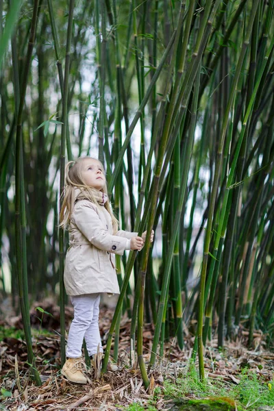 Menina bonita com cabelo loiro em pé em uma floresta de bambu e bambu tremendo — Fotografia de Stock