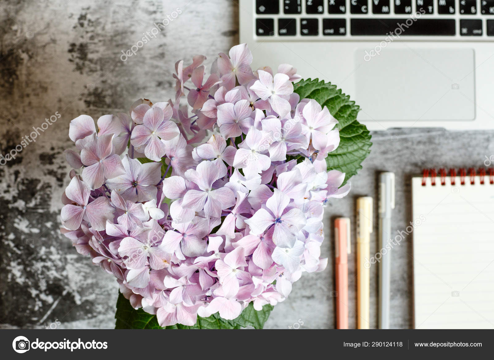 Download Home Office Desk Workspace With Laptop Hydrangea Flowers Bouquet Accessories On Gray Marble Background Flat Lay Overhead Top View Decorated Mockup Royalty Free Photo Stock Image By C Alinabuphoto 290124118