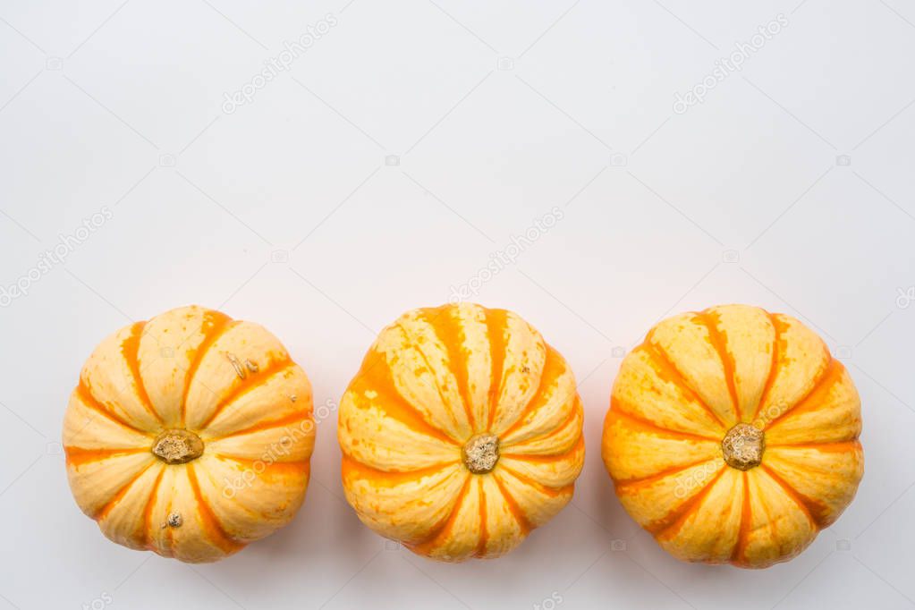 Autumn frame made of orange pumpkins isolated on white background. Fall, Halloween and Thanksgiving concept. Styled stock flat lay photography. Top view. Empty space for your text.