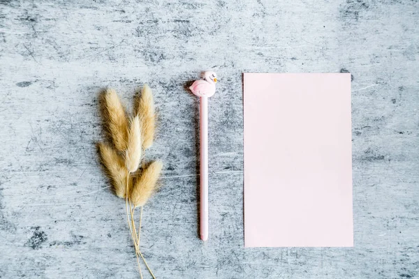 Vista superior maqueta de papel rosa en blanco, flores secas y pluma con flamenco sobre fondo de hormigón gris. Piso laico, espacio de copia, negocio y concepto de blog. Estilo mínimo — Foto de Stock