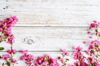 Pembe çiçekli bahar kırsal arka planı. Alanı beyaz tahtaya kopyala. Sevgililer Günü internet satış konsepti, online alışveriş tatili geçmişi. Model, üst görünüm, düz yatış