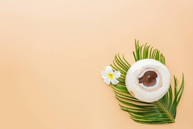 Pastel turuncu arka planda palmiye yaprağı ve hindistan cevizi, üst manzara. Model, genel giderler. Fotokopi alanı olan düz resim. Yaz ve tropik konsept