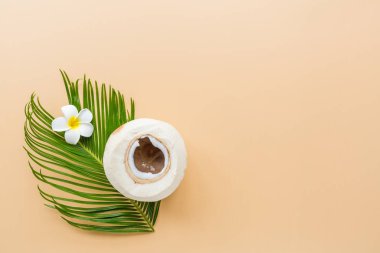 Pastel turuncu arka planda palmiye yaprağı ve hindistan cevizi, üst manzara. Model, genel giderler. Fotokopi alanı olan düz resim. Yaz ve tropik konsept