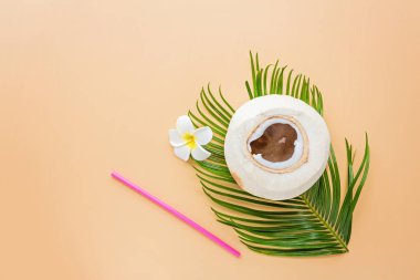 Pastel turuncu arka planda palmiye yaprağı ve hindistan cevizi, üst manzara. Model, genel giderler. Fotokopi alanı olan düz resim. Yaz ve tropik konsept