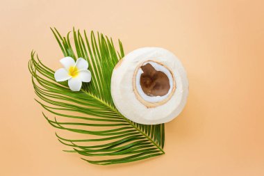 Pastel turuncu arka planda palmiye yaprağı ve hindistan cevizi, üst manzara. Model, genel giderler. Fotokopi alanı olan düz resim. Yaz ve tropik konsept