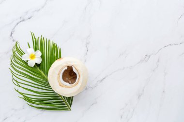 Yaz kompozisyonu. Tropik palmiye yaprağı, hindistan cevizi, beyaz mermer arka planda plumeria çiçeği. Yaz kavramı. Düz konum, üst görünüm, model, pankart, kopyalama alanı