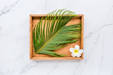 Yazlık düz eşyalar: tropikal çiçek tesisatı ve ahşap tabakta palmiye yaprağı. Mesaj için yer. Üst görünüm, üst görünüm, genel görünüm