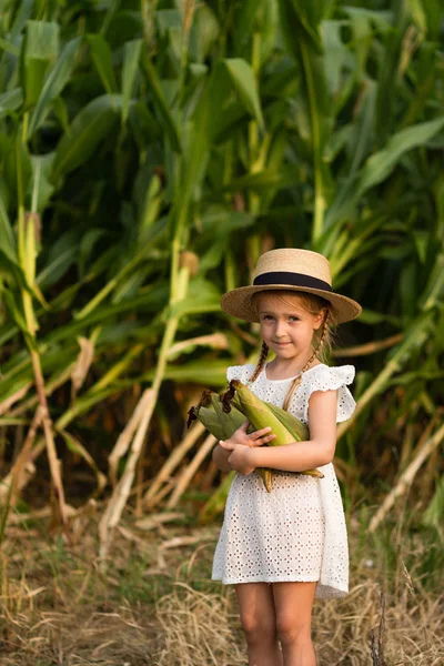 Un niño con un sombrero parado en medio de un campo de maíz. Tiempo de cosecha. agricultura orgánica para niños. Lindo niño que se divierte en un día soleado de verano al aire libre. Luz solar. concepto feliz día de los niños —  Fotos de Stock