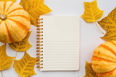 Şablon tasarımı kadar sahte için Şükran tatil nesneleri. Sonbahar balkabağı, defter ve sonbahar yaprakları beyaz. Yukarıdan görüntüleyin. Düz döşeme, üst görünüm, genel merkez, kopyalama alanı
