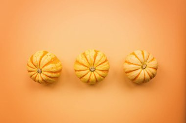 Pastel turuncu arka plan üzerinde izole kabaklar yapılmış Sonbahar çerçeve. Sonbahar, Cadılar Bayramı ve Şükran Günü konsepti. Styled stok düz döşeme fotoğraf. Üst te. Metniniz için boş alan.