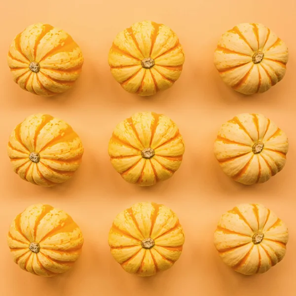 Pastel turuncu arka plan üzerinde izole kabaklar yapılmış Sonbahar çerçeve. Sonbahar, Cadılar Bayramı ve Şükran Günü konsepti. Styled stok düz döşeme fotoğraf. Üst te. Metniniz için boş alan.