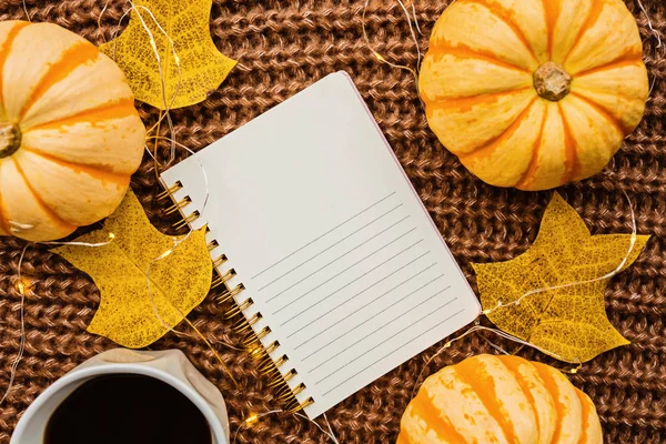 Sonbahar çerçeve kabak, dizüstü bilgisayar, kahve fincan ve kahverengi örme kazak üzerine düşmüş yaprakları yapılmış. Sonbahar, Cadılar Bayramı ve Şükran Günü konsepti. Üst te. Metniniz için boş alan.