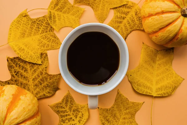 Sonbahar çerçeve kabak, kahve fincan ve turuncu arka plan üzerinde düşmüş yaprakları yapılmış. Sonbahar, Cadılar Bayramı ve Şükran Günü konsepti. Styled stok düz döşeme fotoğraf. Üst te. Metniniz için boş alan.