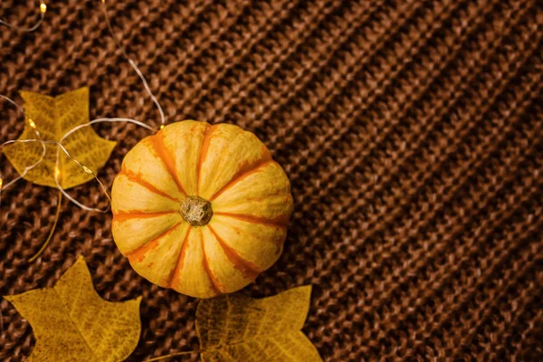 Autumn frame made of pumpkin and fallen leaves on brown knitted sweater. Fall, Halloween and Thanksgiving concept. Top view. Empty space for your text. — Stock Photo, Image
