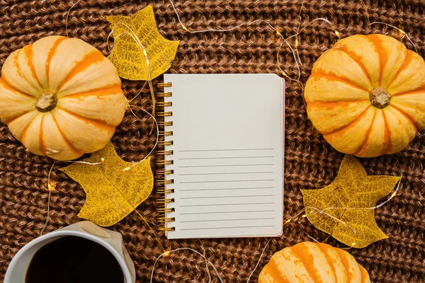 Sonbahar çerçeve kabak, dizüstü bilgisayar, kahve fincan ve kahverengi örme kazak üzerine düşmüş yaprakları yapılmış. Sonbahar, Cadılar Bayramı ve Şükran Günü konsepti. Üst te. Metniniz için boş alan.
