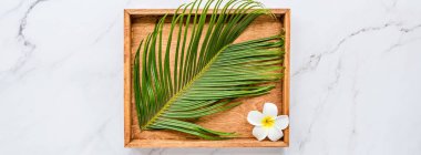 Yazlık düz eşyalar: tropikal çiçek tesisatı ve ahşap tabakta palmiye yaprağı. Üst görünüm, üst görünüm, genel görünüm