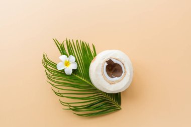 Pastel turuncu arka planda palmiye yaprağı ve hindistan cevizi, üst manzara. Model, genel giderler. Fotokopi alanı olan düz resim. Yaz ve tropik konsept