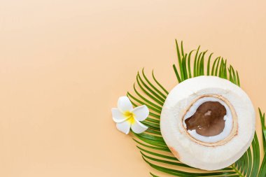 Pastel turuncu arka planda palmiye yaprağı ve hindistan cevizi, üst manzara. Model, genel giderler. Fotokopi alanı olan düz resim. Yaz ve tropik konsept