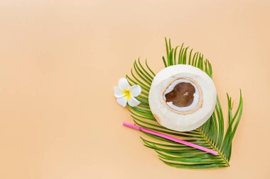 Pastel turuncu arka planda palmiye yaprağı ve hindistan cevizi, üst manzara. Model, genel giderler. Fotokopi alanı olan düz resim. Yaz ve tropik konsept