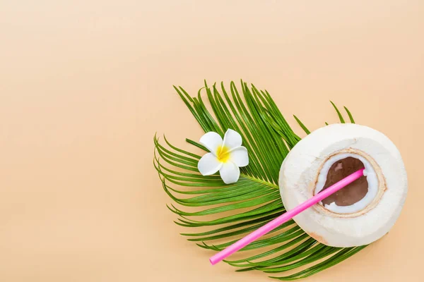 Folha de palma e coco no fundo laranja pastel, vista superior. Mockup, por cima. Flat lay imagem com espaço de cópia. Conceito de verão e tropical — Fotografia de Stock