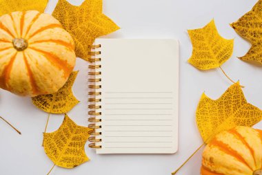Şablon tasarımı kadar sahte için Şükran tatil nesneleri. Sonbahar balkabağı, defter ve sonbahar yaprakları beyaz. Yukarıdan görüntüleyin. Düz döşeme, üst görünüm, genel merkez, kopyalama alanı