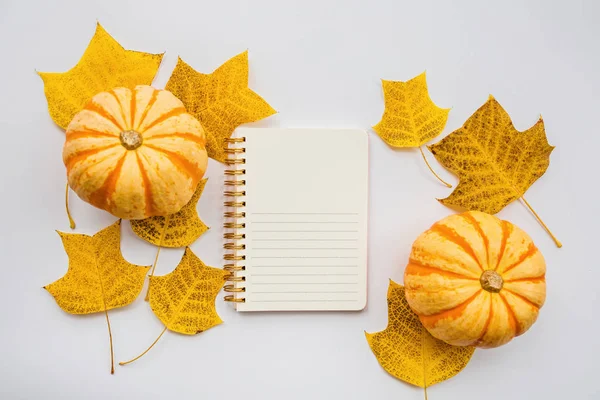Thanksgiving holiday objects for mock up template design. Autumn pumpkin, notebook and fall leaves on white. View from above. Flat lay, top view, overhead, copy space — Stock Photo, Image