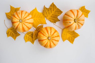 Şablon tasarımı kadar sahte için Şükran tatil nesneleri. Sonbahar balkabağı ve sonbahar yaprakları. Yukarıdan görüntüleyin. Düz döşeme, üst görünüm, genel merkez, kopyalama alanı