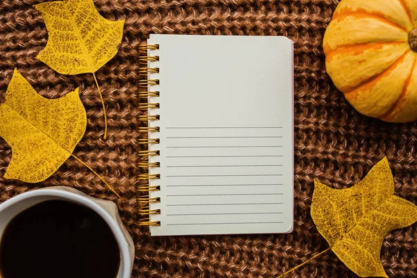 Sonbahar çerçeve kabak, dizüstü bilgisayar, kahve fincan ve kahverengi örme kazak üzerine düşmüş yaprakları yapılmış. Sonbahar, Cadılar Bayramı ve Şükran Günü konsepti. Üst te. Metniniz için boş alan.