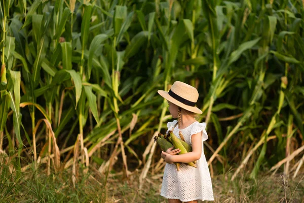 Bir mısır tarlasının ortasında duran şapkalı şık küçük çocuk. Hasat zamanı. çocuklar için organik tarım. Güneşli bir yaz günü açık havada sevimli çocuk. Güneş ışığı. Mutlu çocuklar günü kavramı — Stok fotoğraf