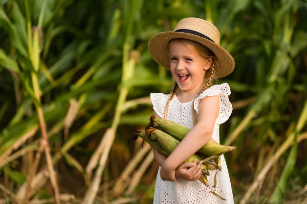 Mısır tarlasının ortasında duran şapkalı küçük çocuk. Hasat zamanı. çocuklar için organik tarım. Sevimli çocuk güneşli bir yaz günü açık havada eğlenmek. Güneş ışığı. Mutlu çocuklar günü kavramı