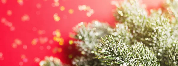Χριστουγεννιάτικο δέντρο κλαδιά σε κόκκινο φόντο με χρυσό κομφετί. Οριζόντια banner για σχεδίαση ιστού. έννοια του νέου έτους. Ευχετήρια κάρτα, Χριστούγεννα γιορτή 2020. Επίπεδη όψη, κορυφή, αντιγραφή χώρου, μαματό — Φωτογραφία Αρχείου
