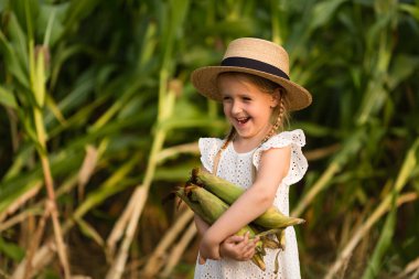 Mısır tarlasının ortasında duran şapkalı küçük çocuk. Hasat zamanı. çocuklar için organik tarım. Sevimli çocuk güneşli bir yaz günü açık havada eğlenmek. Güneş ışığı. Mutlu çocuklar günü kavramı