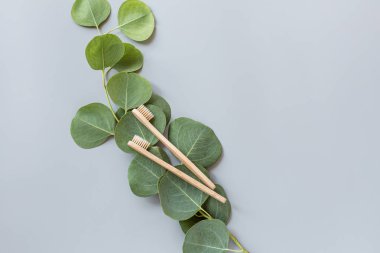 Eko doğal bambu diş fırçaları gri arka planda yatıyordu. Sürdürülebilir yaşam tarzı kavramı. sıfır atık, plastiksiz eşyalar. Plastik kirliliğini durdurun. Üst görünüm, genel görünüm, şablon, model.