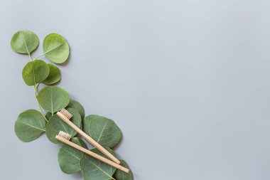 Eko doğal bambu diş fırçaları gri arka planda yatıyordu. Sürdürülebilir yaşam tarzı kavramı. sıfır atık, plastiksiz eşyalar. Plastik kirliliğini durdurun. Üst görünüm, genel görünüm, şablon, model.