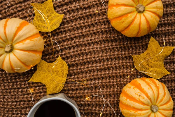Autumn frame made of pumpkins, cup of coffee and fallen leaves on brown knitted sweater. Fall, Halloween and Thanksgiving concept. Top view. Empty space for your text. — Stock Photo, Image