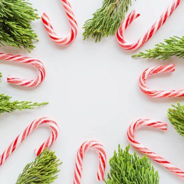 Noel kompozisyonu. Beyaz üzerine köknar dalları ve lolipop bastonu. Yeni yıl konsepti. Kare tebrik kartı, kış tatili, xmas kutlaması 2020. Düz konum, üst görünüm, kopyalama alanı, model, şablon