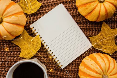 Sonbahar çerçeve kabak, dizüstü bilgisayar, kahve fincan ve kahverengi örme kazak üzerine düşmüş yaprakları yapılmış. Sonbahar, Cadılar Bayramı ve Şükran Günü konsepti. Üst te. Metniniz için boş alan.