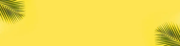 黄色背景的热带棕榈叶夏季构图 平面布局 顶部视图 复制空间 — 图库照片