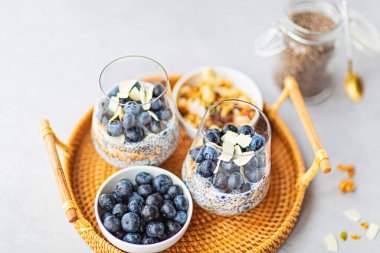 Granola ve gri beton arka planda taze yaban mersinli Chia pudingi. Sağlıklı beslenme, sağlıklı yaşam tarzı, diyet, fitness menüsü. Seçici odaklanma. Yüksek kalite fotoğraf